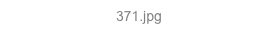 371.jpg