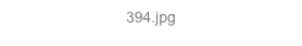 394.jpg