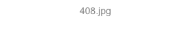 408.jpg