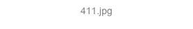 411.jpg