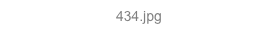 434.jpg