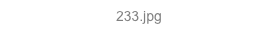 233.jpg