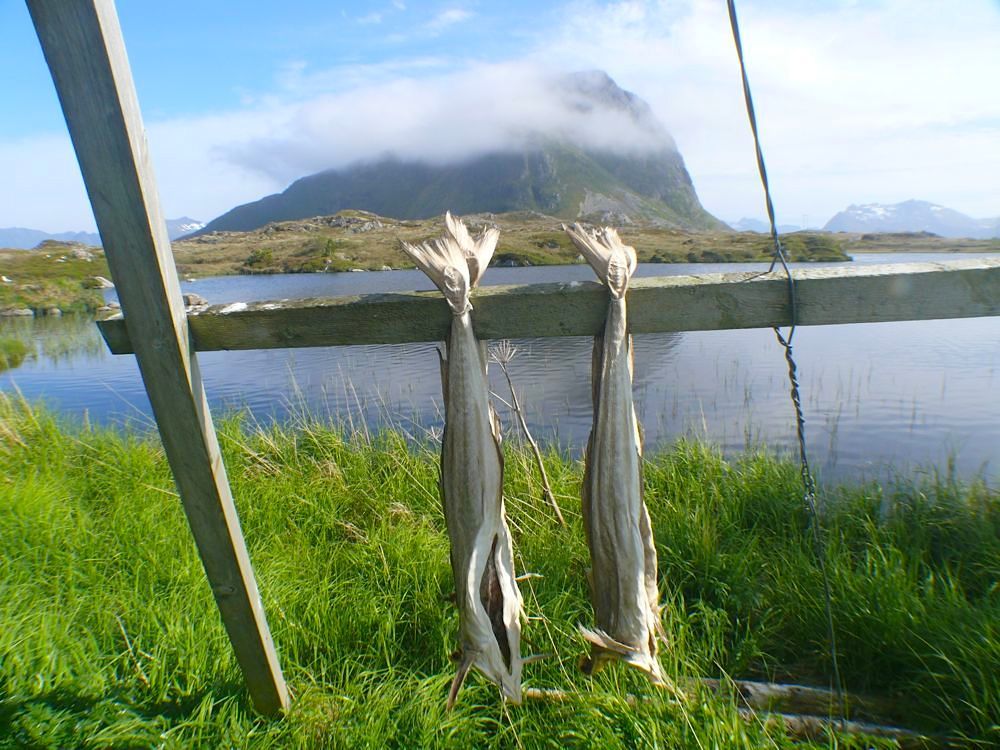 10 Lofoten