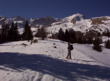 Photothèque - 1505.jpg