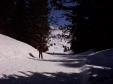 Photothèque - 1509.jpg