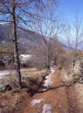 Photothèque - 1531.jpg