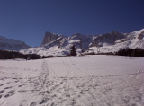 Photothèque - 1503.jpg
